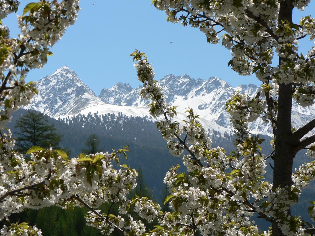 Affittacamere Bergfrieden